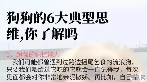 面对完美主义让人痛苦，决策科学告诉我们这件事比你想的更重要