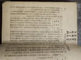 搭子文化席卷年轻人？7个社会比较理论相关研究告诉你答案