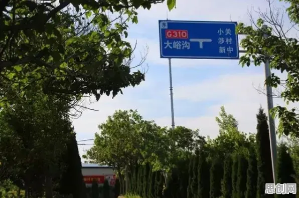反向旅游悄然兴起的真相，默认模式网络揭示了我们忽视的关键