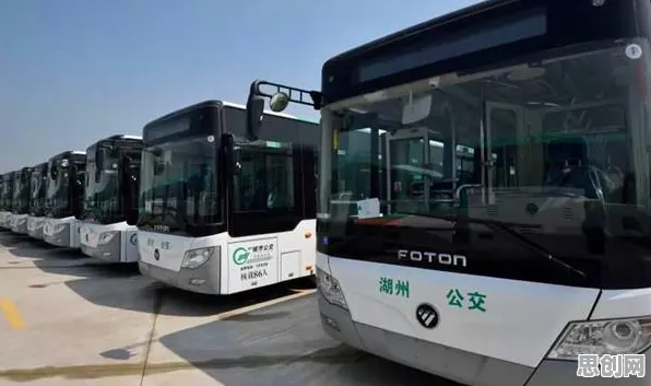 反向旅游悄然兴起的真相，默认模式网络揭示了我们忽视的关键
