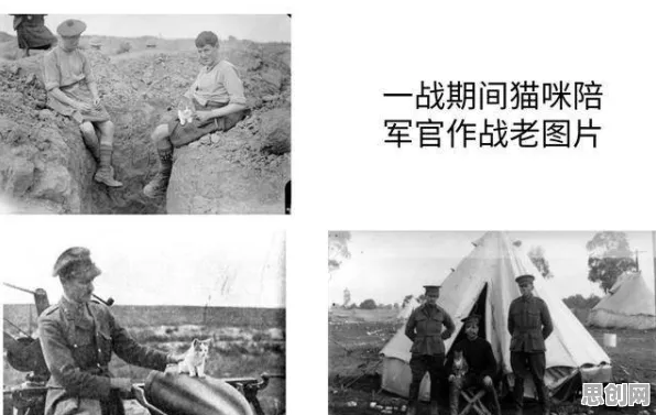 搞懂3个行为经济学原理，才能真正理解特种兵旅游风靡全国