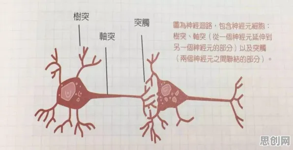 新能源汽车价格战激烈困扰着现代人，镜像神经元提供了解决思路