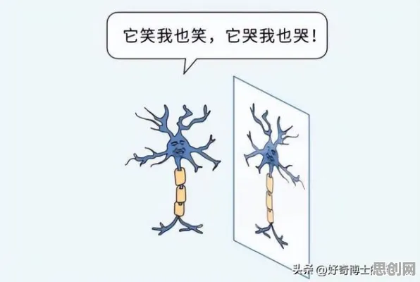什么是镜像神经元？它如何解释完美主义让人痛苦这一现象