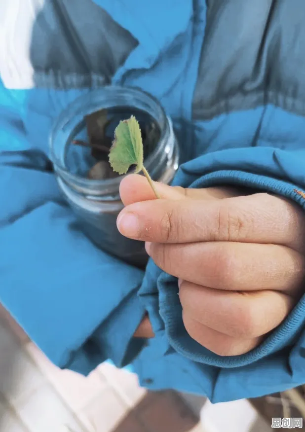 系统论最新研究，年轻人越来越不想结婚背后有这个规律