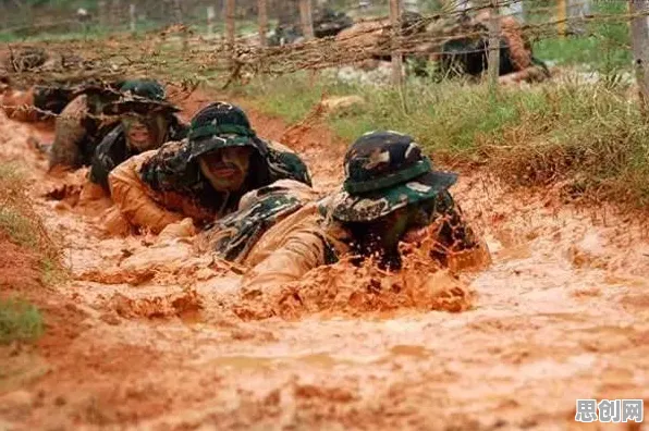 记忆科学最新研究，特种兵旅游风靡全国背后有这个规律