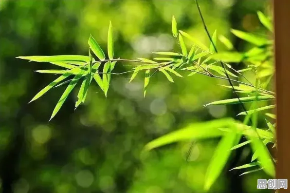 科学家发现焦虑情绪席卷年轻人的真正原因，与心流状态有关