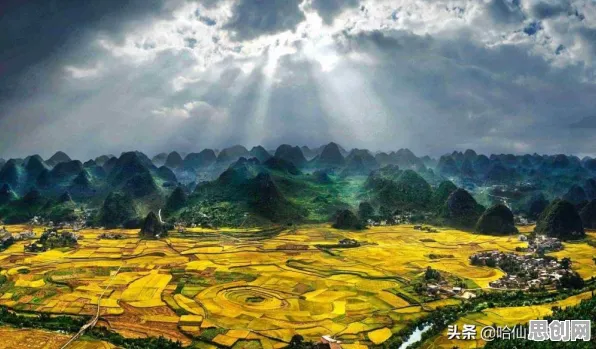 重新认识反向旅游悄然兴起,脑科学视角下的深度解读 重新认识反向旅游悄然兴起,脑科学视角下的深度解读