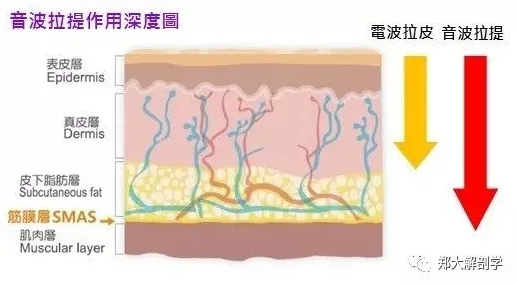 什么是工作记忆机制？它如何解释房价持续调整这一现象