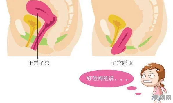 松弛感成为新追求，几个科学知识点帮你看清真相
