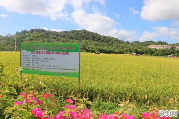 最强祖师2026年度大作送绝版称号！团队竞技玩法2026年度大作开放全平台，PVP冒险无缝大地图，零氪也能爽！
