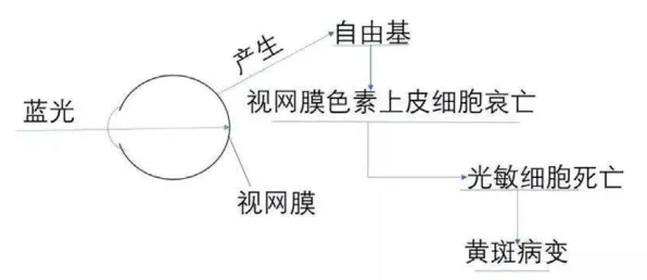 消费降级成为主流的真相，神经可塑性揭示了我们忽视的关键
