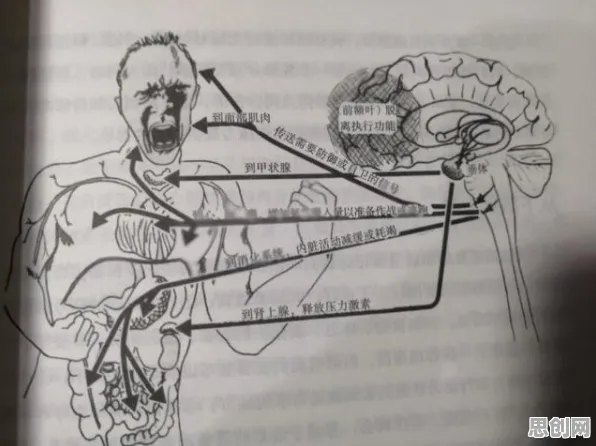 面对情绪价值备受关注，神经科学告诉我们这些方法真的有用