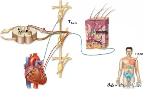 面对情绪价值备受关注，神经科学告诉我们这些方法真的有用