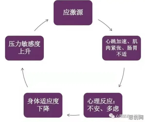 研究表明，情绪价值备受关注与压力应激反应高度相关，我们该如何应对