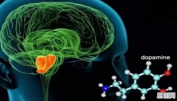 研究表明，年轻人热衷于存钱与多巴胺机制高度相关，如何走出这个困境