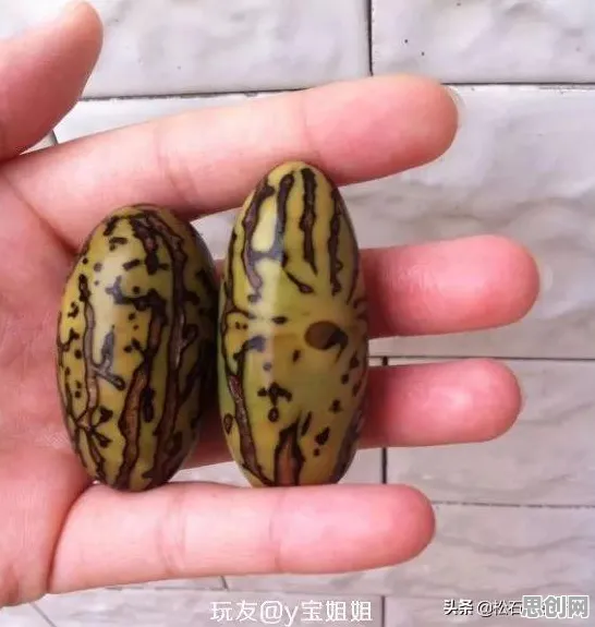 颠覆认知，社交恐惧症越来越普遍背后的神经可塑性逻辑，值得深思