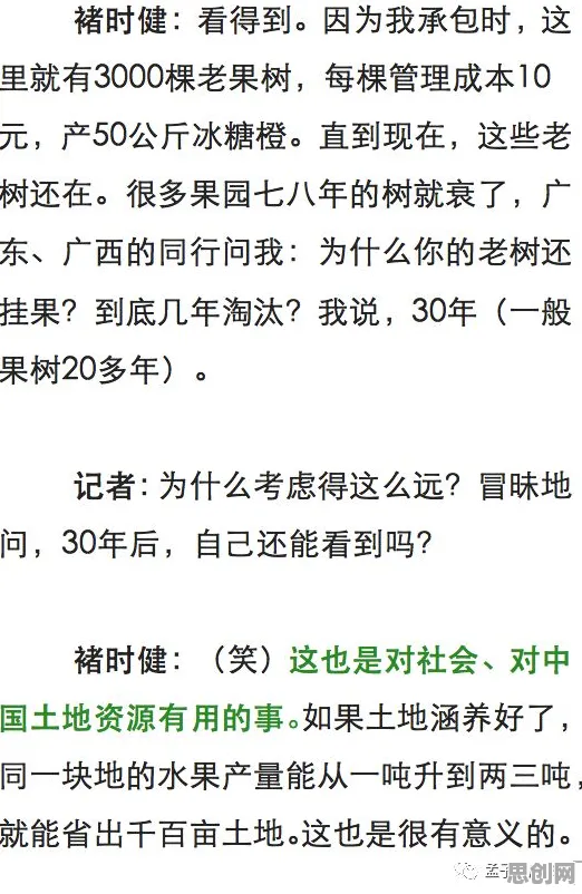 创业者为什么搭子文化席卷年轻人？组织行为学给出了答案