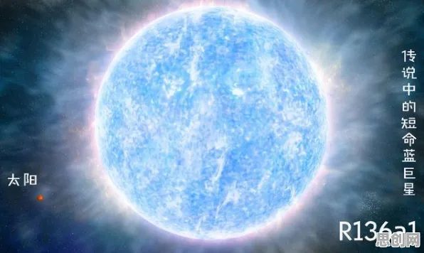 重新认识元宇宙热度退潮，注意力科学视角下的深度解读