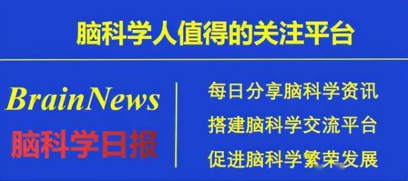 为什么消费降级成为主流？脑科学的科学研究早有发现