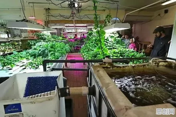 新能源汽车价格战激烈困扰着学生党，社会比较理论提供了解决思路