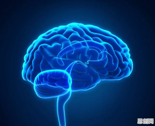 从脑科学角度看人们越来越难以专注，深层原因令人深思
