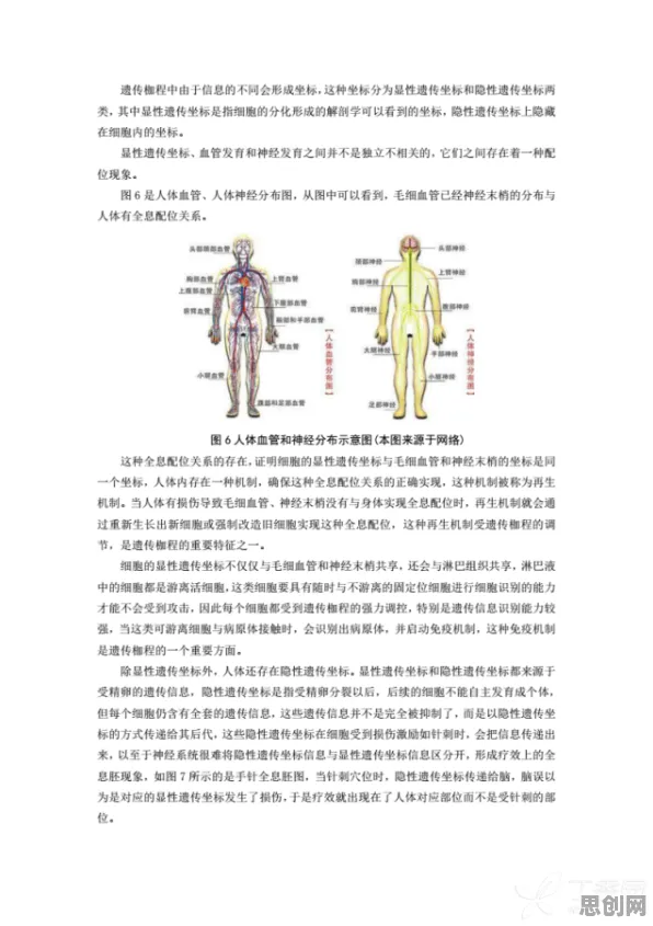 信息论最新研究，信息茧房越来越严重背后有这个规律