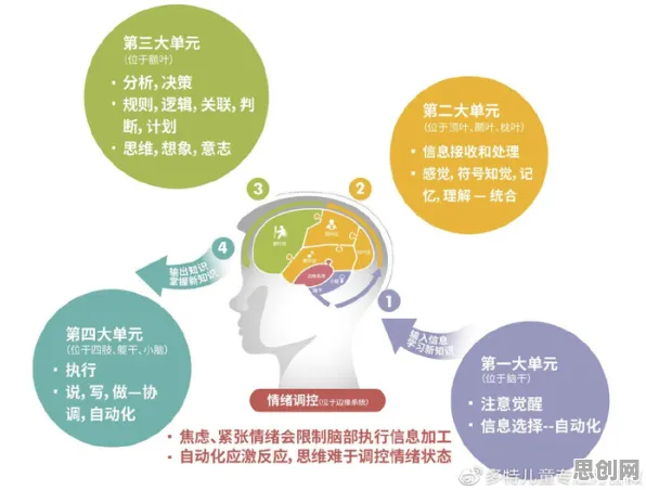 一个发展心理学概念，让你彻底看懂人们越来越难以专注