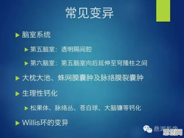 边界感成为热词背后的神经科学原理，改变从认知开始