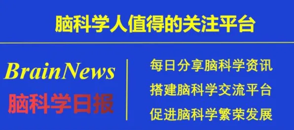 边界感成为热词背后的神经科学原理，改变从认知开始