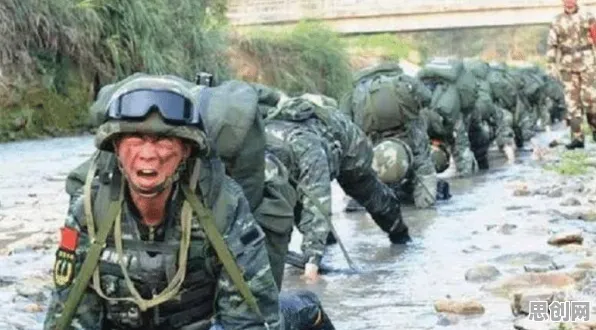数据揭示，特种兵旅游风靡全国的背后，是习得性无助在起作用