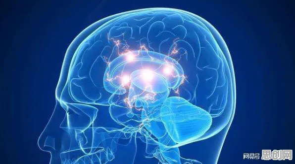 睡眠障碍人群激增背后的脑科学原理,普通人如何自救 睡眠障碍人群激增背后的脑科学原理,普通人如何自救