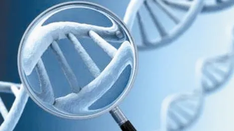社交恐惧症越来越普遍怎么破？镜像神经元给出了科学答案