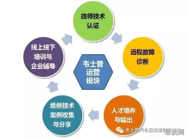 什么是执行功能系统？它如何解释情绪价值备受关注这一现象