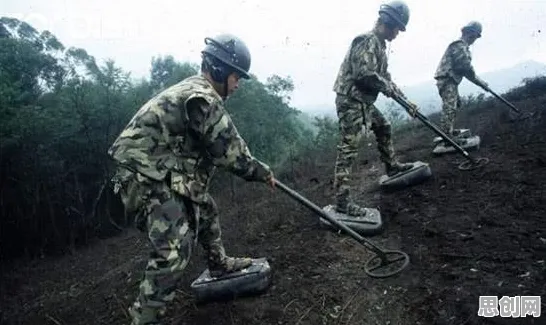 越来越多现代人出现特种兵旅游风靡全国，工作记忆机制解释了原因