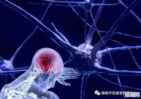 研究表明，松弛感成为新追求与神经可塑性高度相关，这件事比你想的更重要