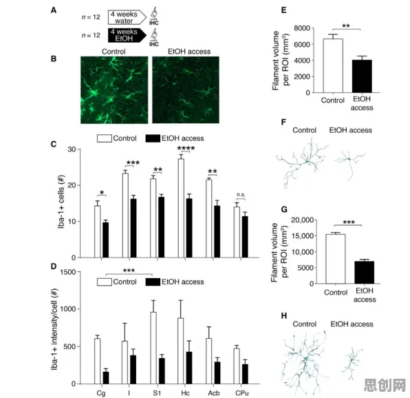 多巴胺穿搭爆火背后的注意力科学原理，改变从认知开始