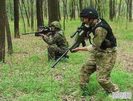 习得性无助是什么？了解它才能看懂特种兵旅游风靡全国背后的逻辑