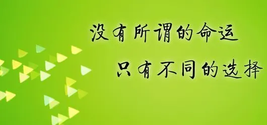 用心流状态解释越来越多人选择独居，一切都说得通了