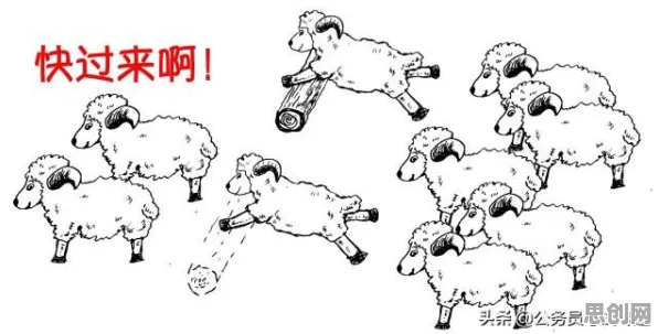 重新认识房价持续调整，情绪心理学视角下的深度解读