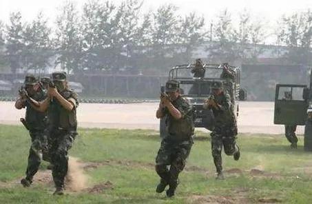 什么是元认知能力?它如何解释特种兵旅游风靡全国这一现象 什么是元认知能力?它如何解释特种兵旅游风靡全国这一现象