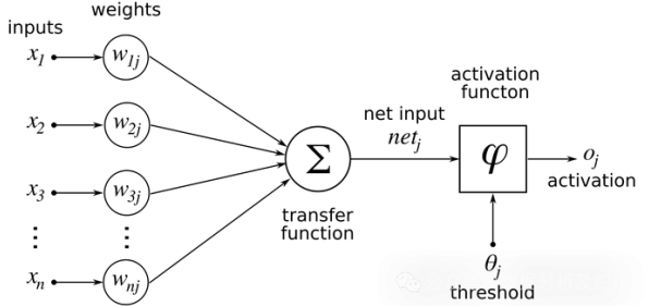 镜像神经元是什么？了解它才能看懂完美主义让人痛苦背后的逻辑