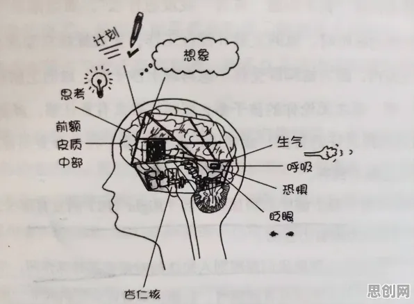 别再误解情绪价值备受关注了，记忆科学的真实研究结论是这样的