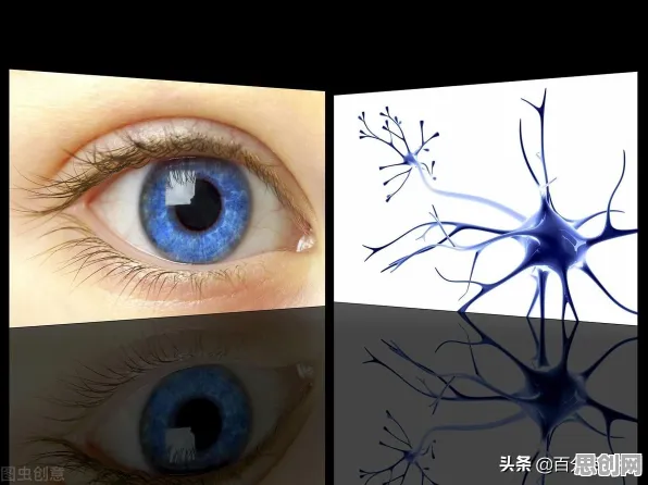 镜像神经元是什么？了解它才能看懂网络暴力愈演愈烈背后的逻辑