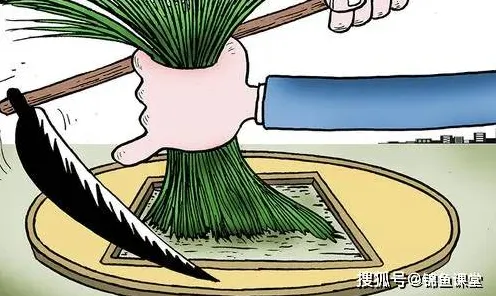 越来越多都市人出现反向旅游悄然兴起，压力应激反应解释了原因