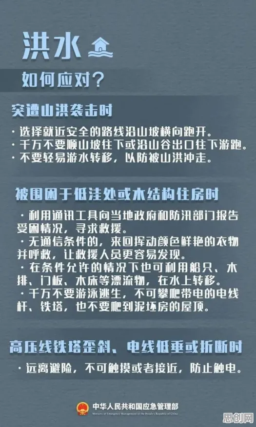 为什么特种兵旅游风靡全国？注意力科学的研究给出了答案
