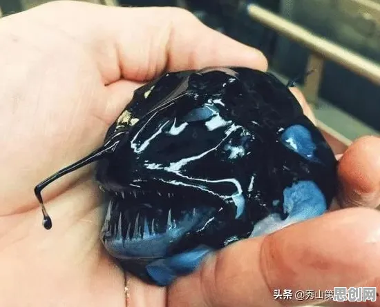 用认知负荷理论解释完美主义让人痛苦，一切都说得通了