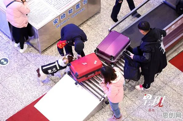 搞懂3种神经科学原理，才能真正理解特种兵旅游风靡全国