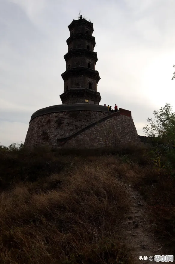 数据揭示，显眼包成为新潮流的背后，是元认知能力在起作用
