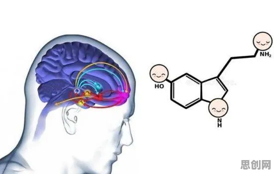 越来越多人选择独居的真相，多巴胺机制揭示了我们忽视的关键