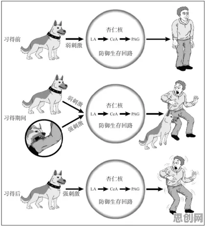 焦虑情绪席卷年轻人背后的情绪心理学原理，改变从认知开始